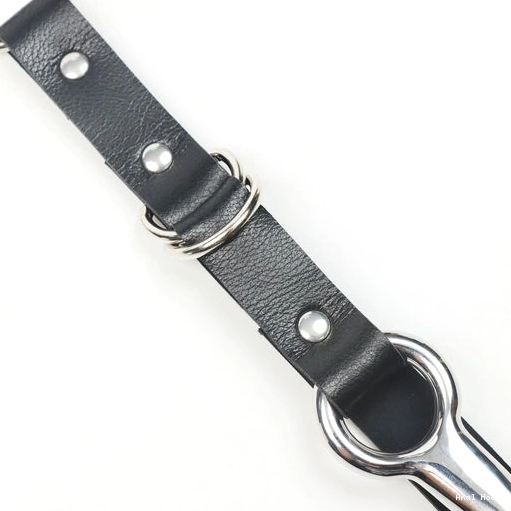with Kinky Collar EverydayUse 5853 Anal Leash and Hook 1003